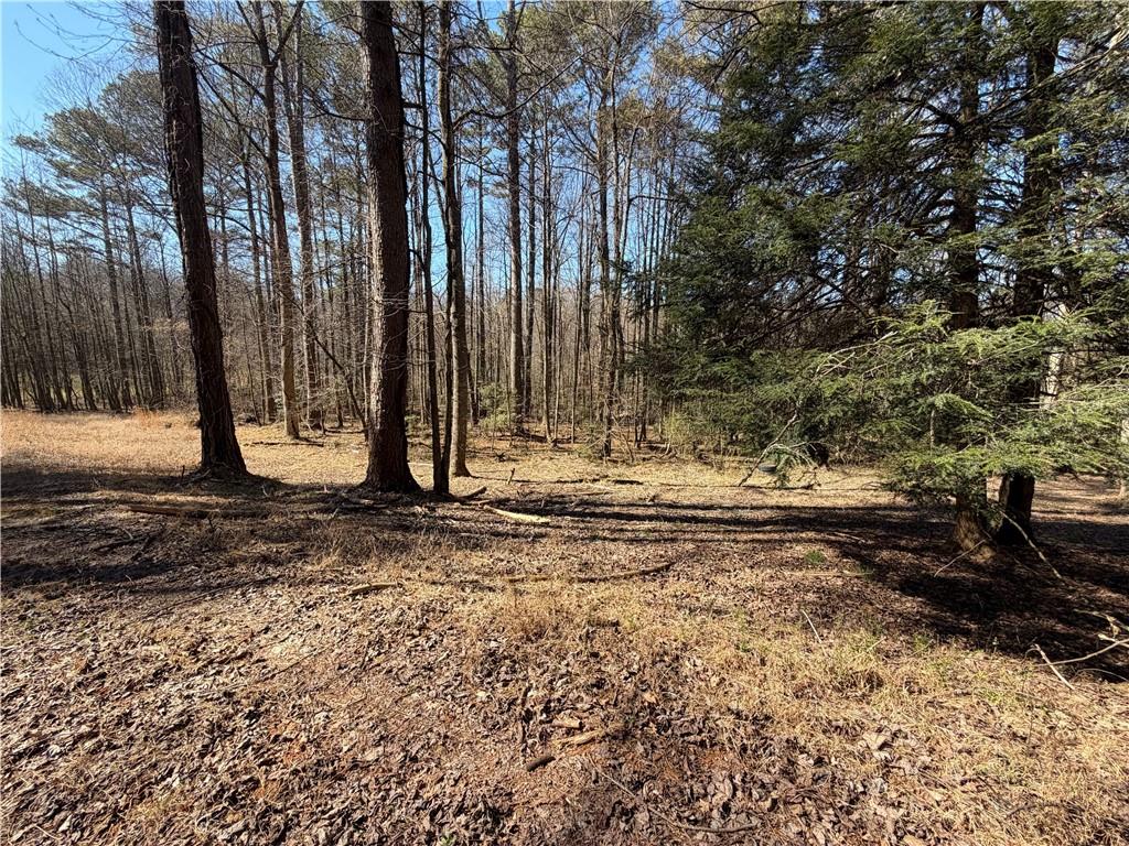 522 Bible Baptist Road Ellijay, GA 30536 - Photo 13 of 27