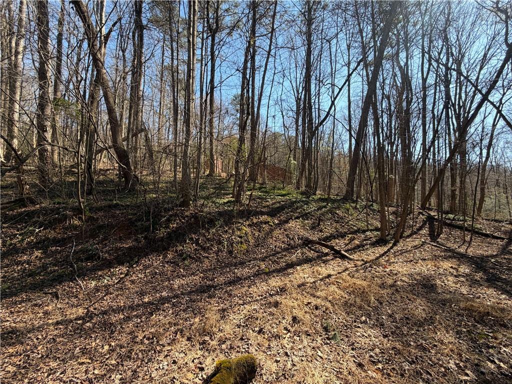 522 Bible Baptist Road Ellijay, GA 30536 - Photo 14 of 27