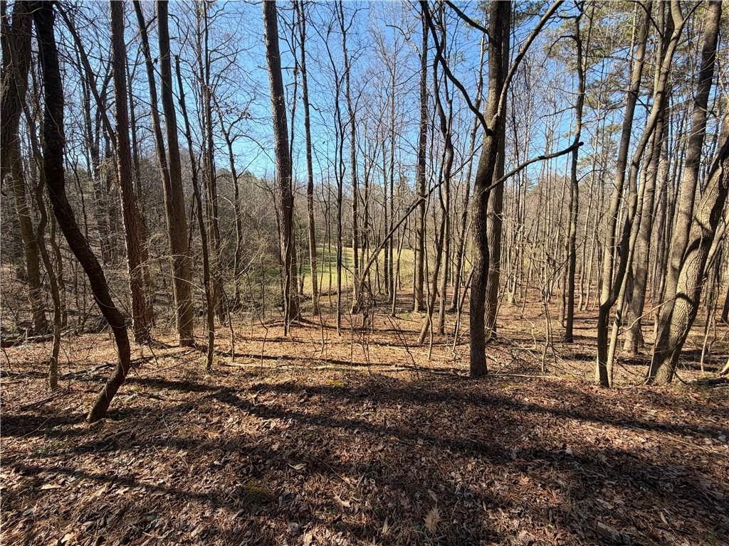 522 Bible Baptist Road Ellijay, GA 30536 - Photo 15 of 27