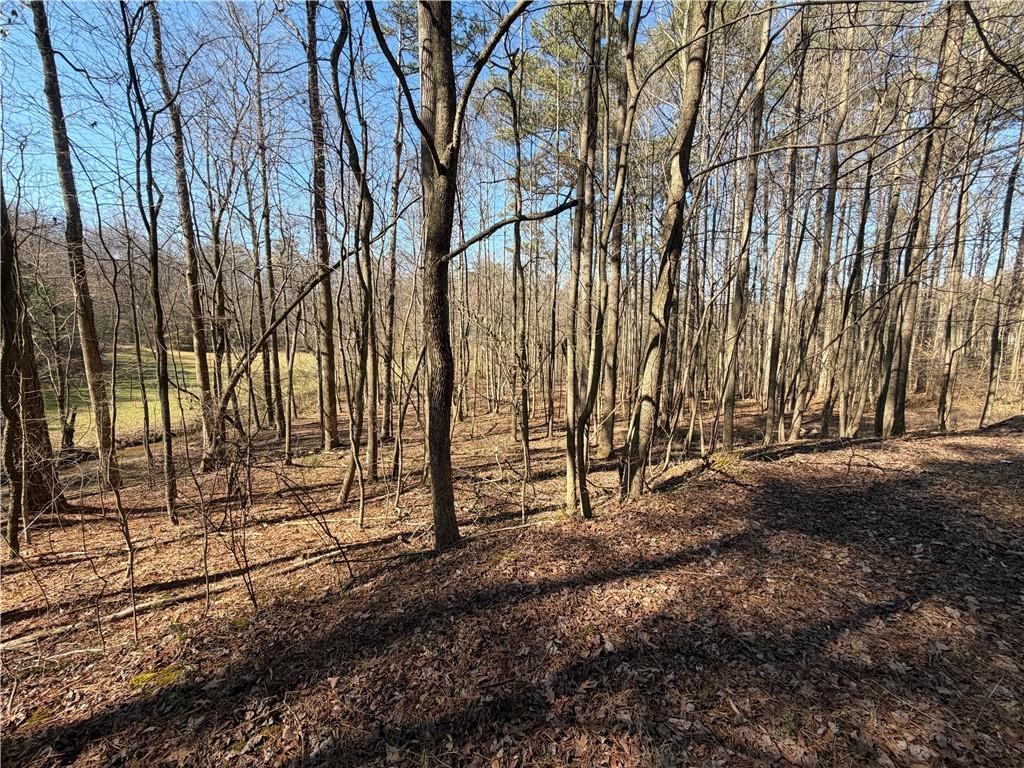 522 Bible Baptist Road Ellijay, GA 30536 - Photo 16 of 27