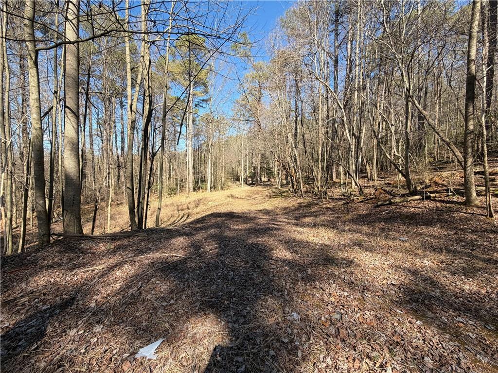 522 Bible Baptist Road Ellijay, GA 30536 - Photo 17 of 27