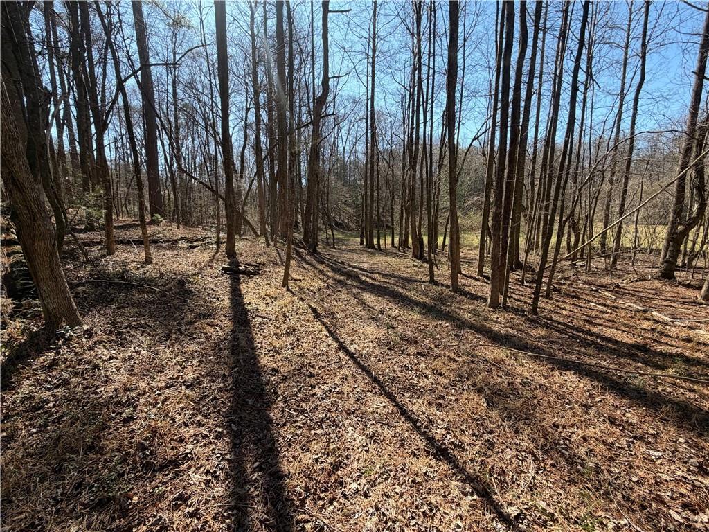 522 Bible Baptist Road Ellijay, GA 30536 - Photo 19 of 27