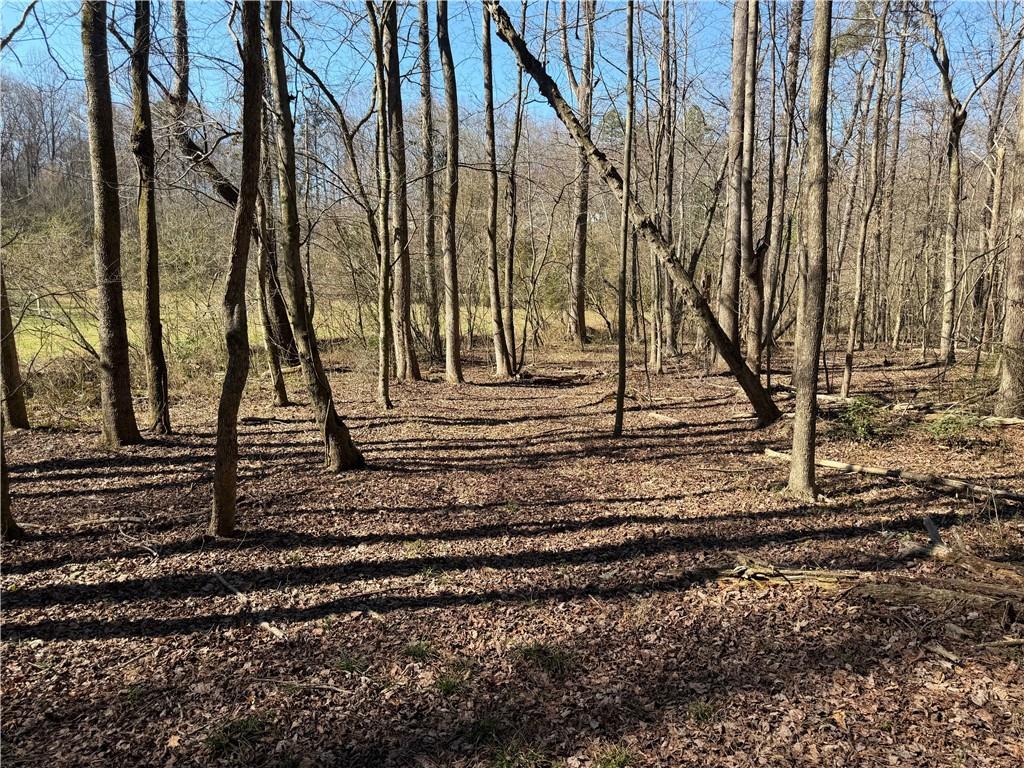 522 Bible Baptist Road Ellijay, GA 30536 - Photo 21 of 27