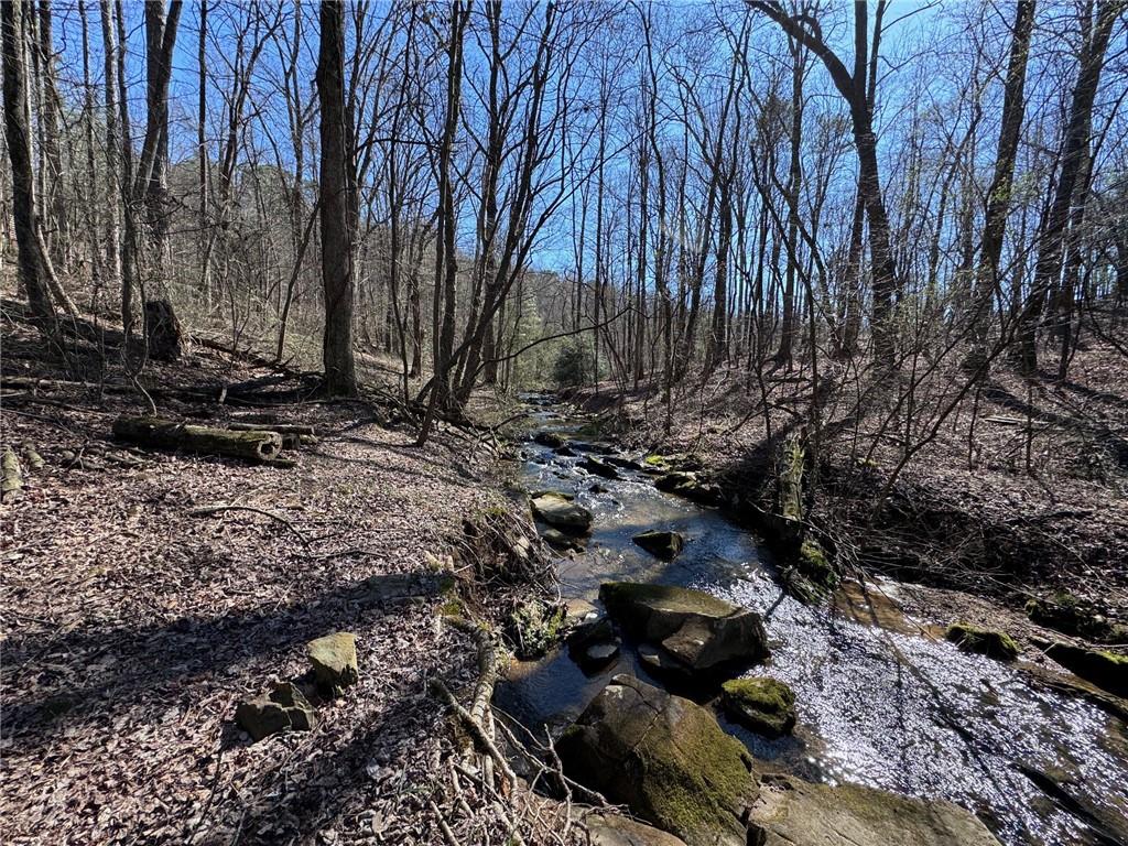 522 Bible Baptist Road Ellijay, GA 30536 - Photo 24 of 27