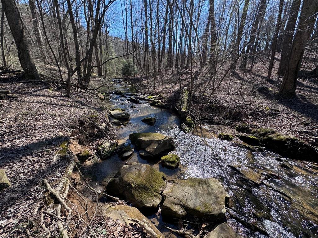 522 Bible Baptist Road Ellijay, GA 30536 - Photo 25 of 27