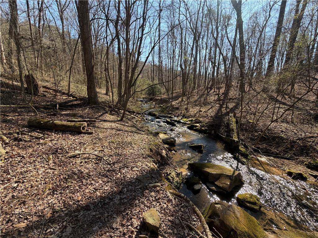 522 Bible Baptist Road Ellijay, GA 30536 - Photo 3 of 27