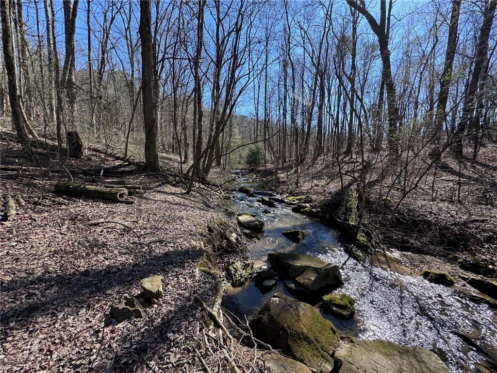 522 Bible Baptist Road Ellijay, GA 30536 - Photo 4 of 27
