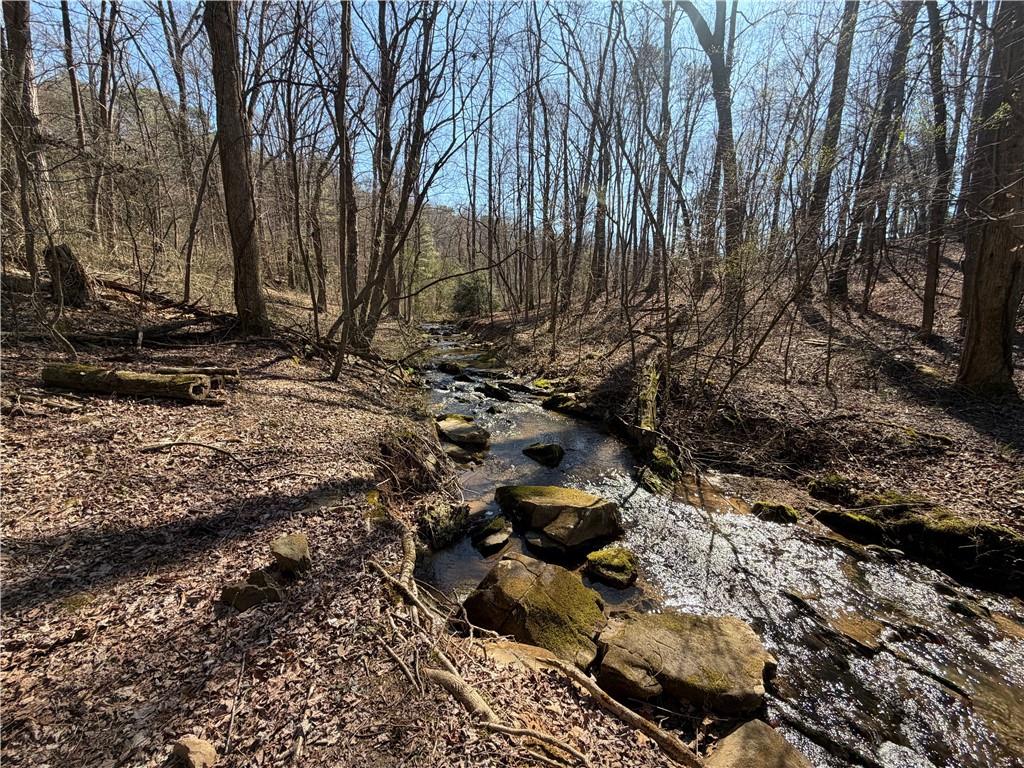 522 Bible Baptist Road Ellijay, GA 30536 - Photo 5 of 27