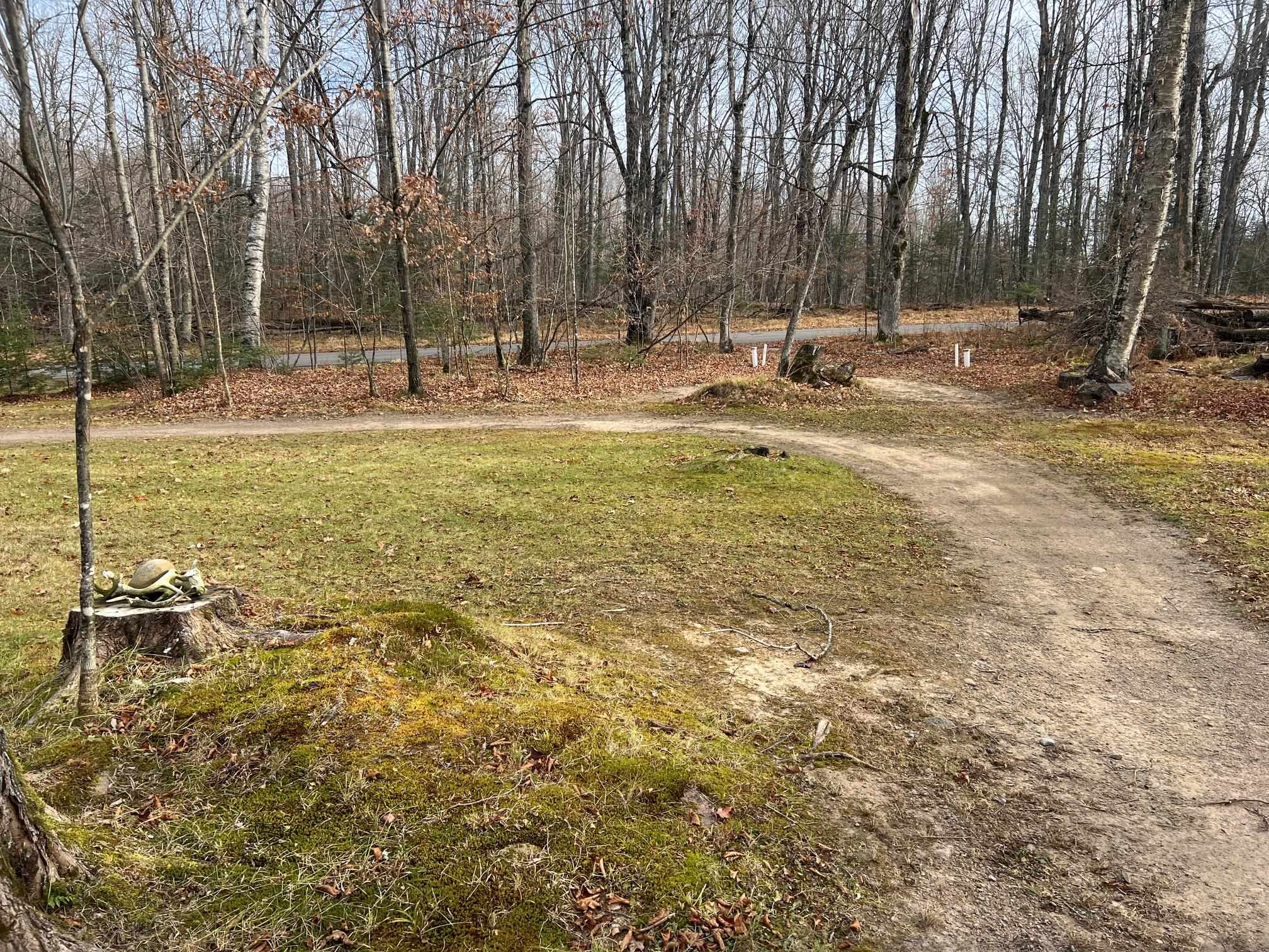 17497 West Burnt Dam Road Townsend, WI 54175 - Photo 11 of 16