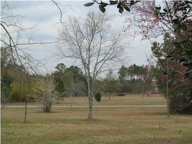 545 Richardson Road DeFuniak Springs, FL 32433 - Photo 19 of 22 a view of road and yard