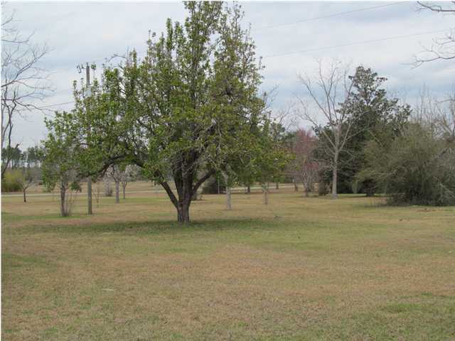 545 Richardson Road DeFuniak Springs, FL 32433 - Photo 20 of 22 a view of outdoor space with trees