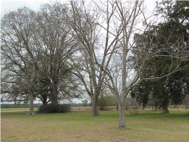 545 Richardson Road DeFuniak Springs, FL 32433 - Photo 21 of 22 a view of lake with trees