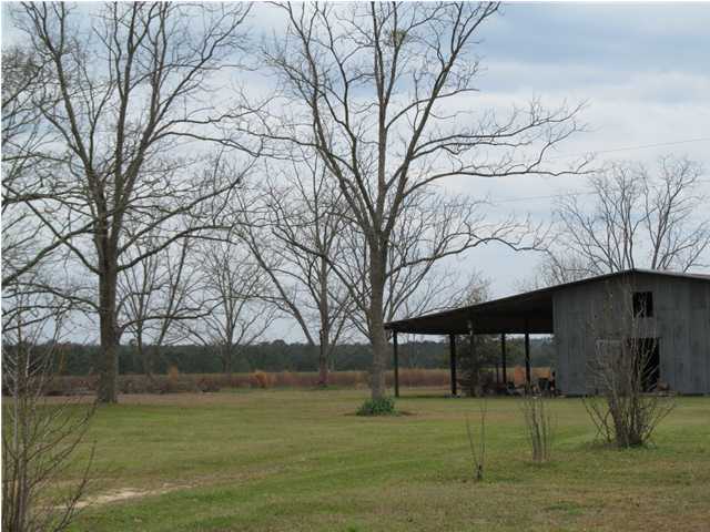 545 Richardson Road DeFuniak Springs, FL 32433 - Photo 22 of 22 a view of a house with a yard