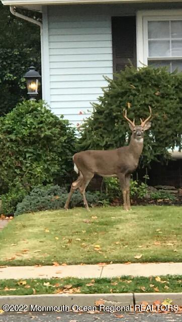209 Perrine Avenue Long Branch, NJ 07740 - Photo 7 of 17 IMG_8605