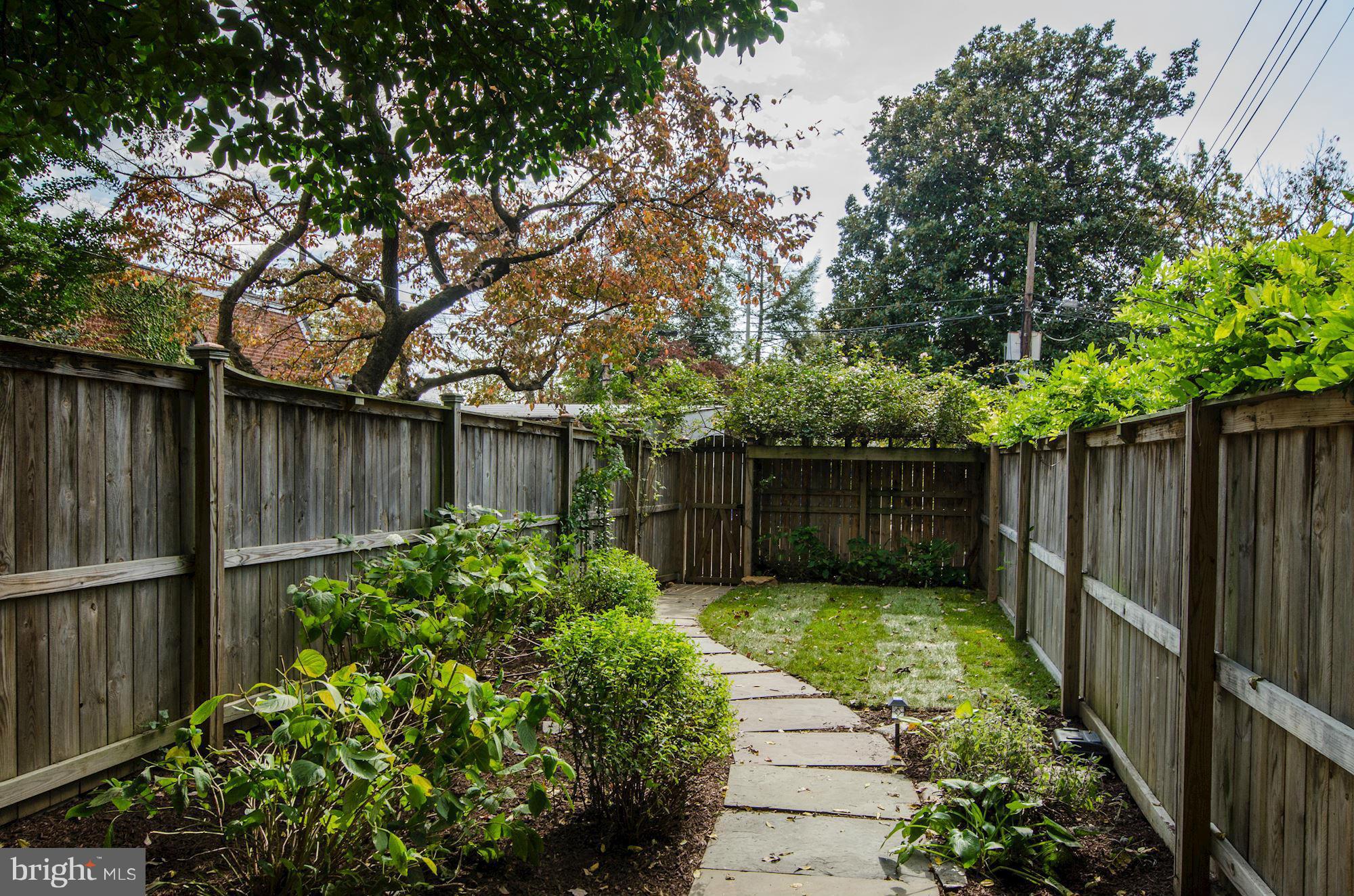 3316 Reservoir Road Northwest Washington, DC 20007 - Photo 18 of 19 a view of a backyard with potted plants and large tree