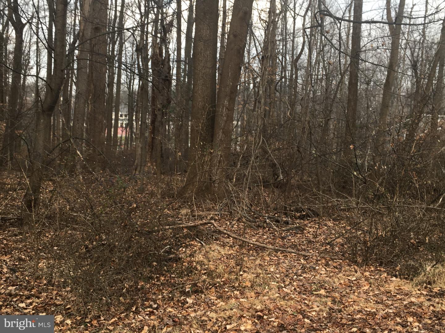 661 Lawrenceville Road Princeton, NJ 08540 - Photo 15 of 15 View in Back