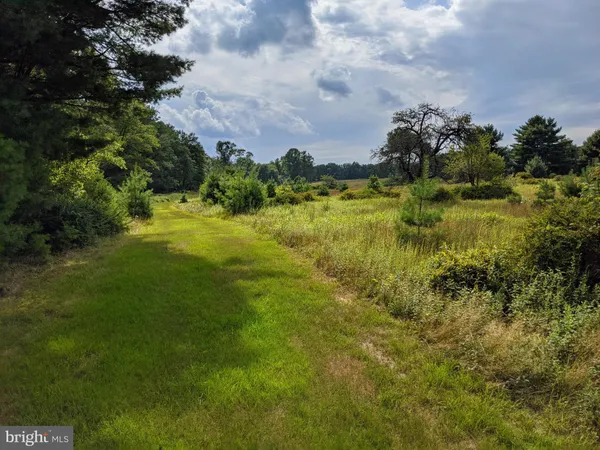 a view of outdoor space