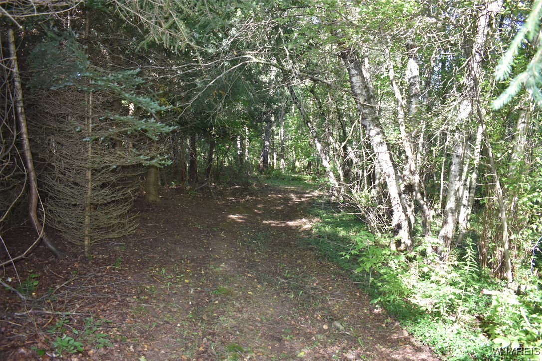 9190 Ball Road Otto, NY 14719 - Photo 18 of 20