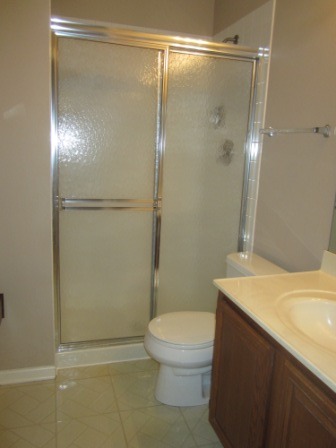 17794 Braewick Road Gurnee, IL 60031 - Photo 11 of 18 a bathroom with a sink a toilet and shower