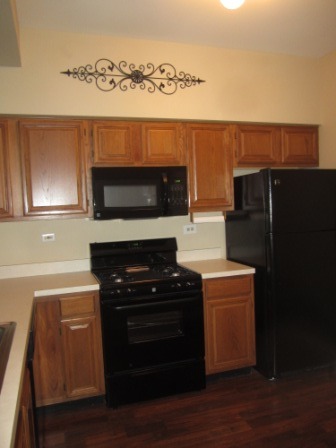 17794 Braewick Road Gurnee, IL 60031 - Photo 7 of 18 a kitchen with cabinets and steel appliances