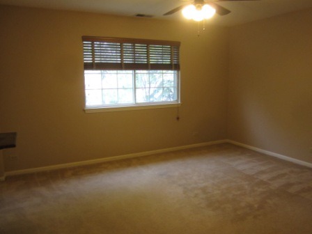 17794 Braewick Road Gurnee, IL 60031 - Photo 9 of 18 an empty room with a window