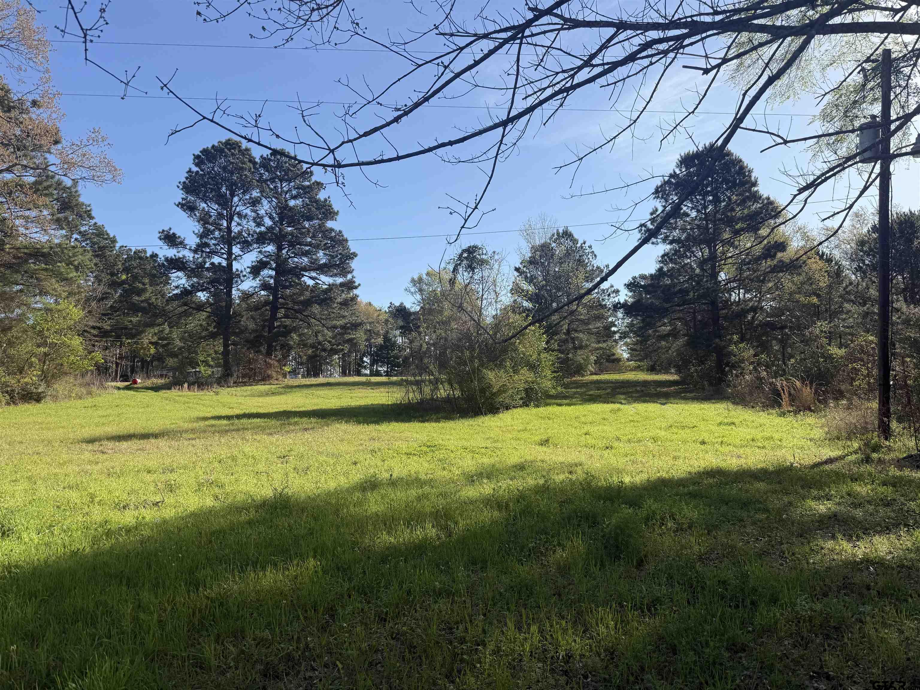 15830 Shady Creek Road Tyler, TX 75705 - Photo 14 of 18 a view of a yard with a house in the background