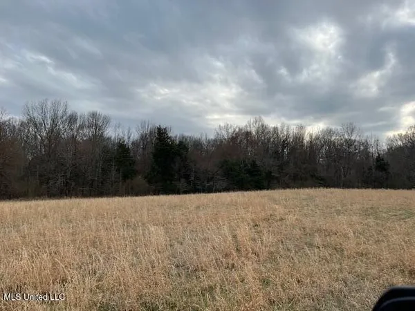 $245,000 | On Peyton Road, Coldwater, MS 38618