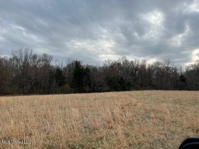 On Peyton Road Coldwater, MS 38618 - Photo 2 of 4 PEYTON ROAD