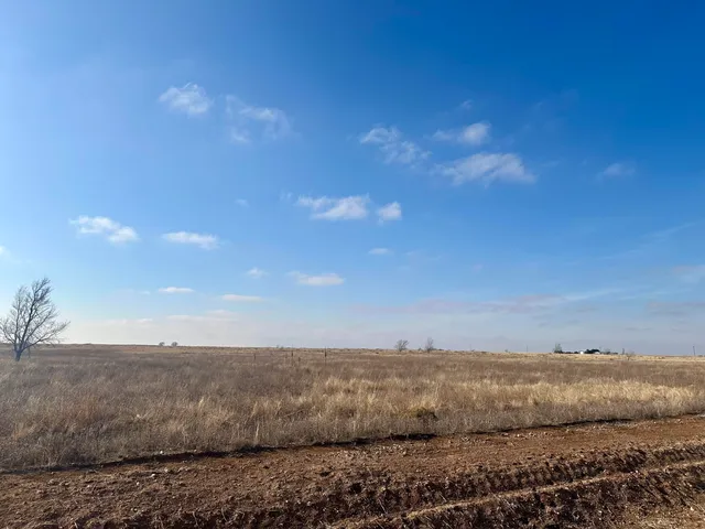 a view of a dry yard with wooden floor