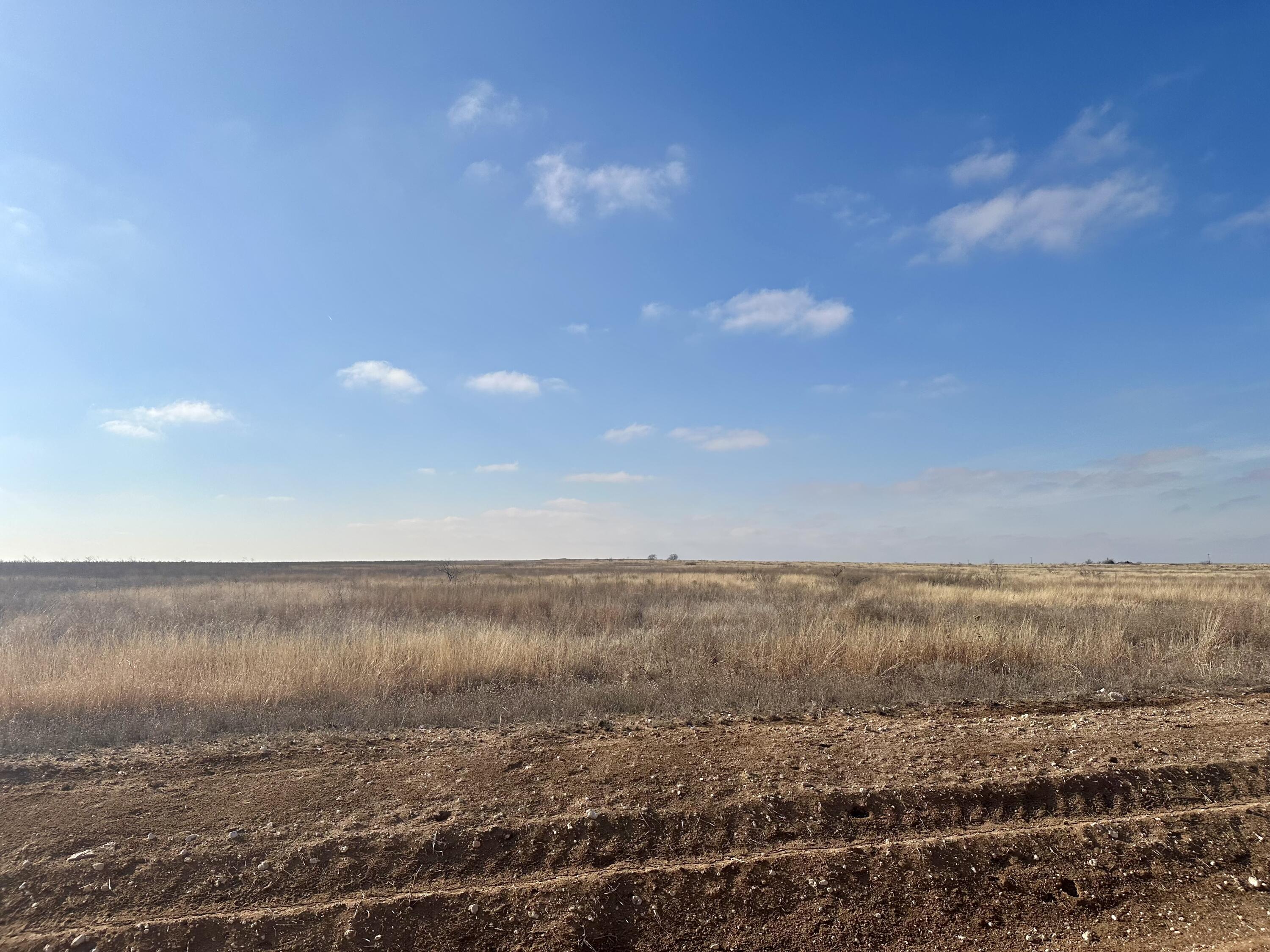 6792 Maine Road Anton, TX 79313 - Photo 6 of 13 IMG_7977