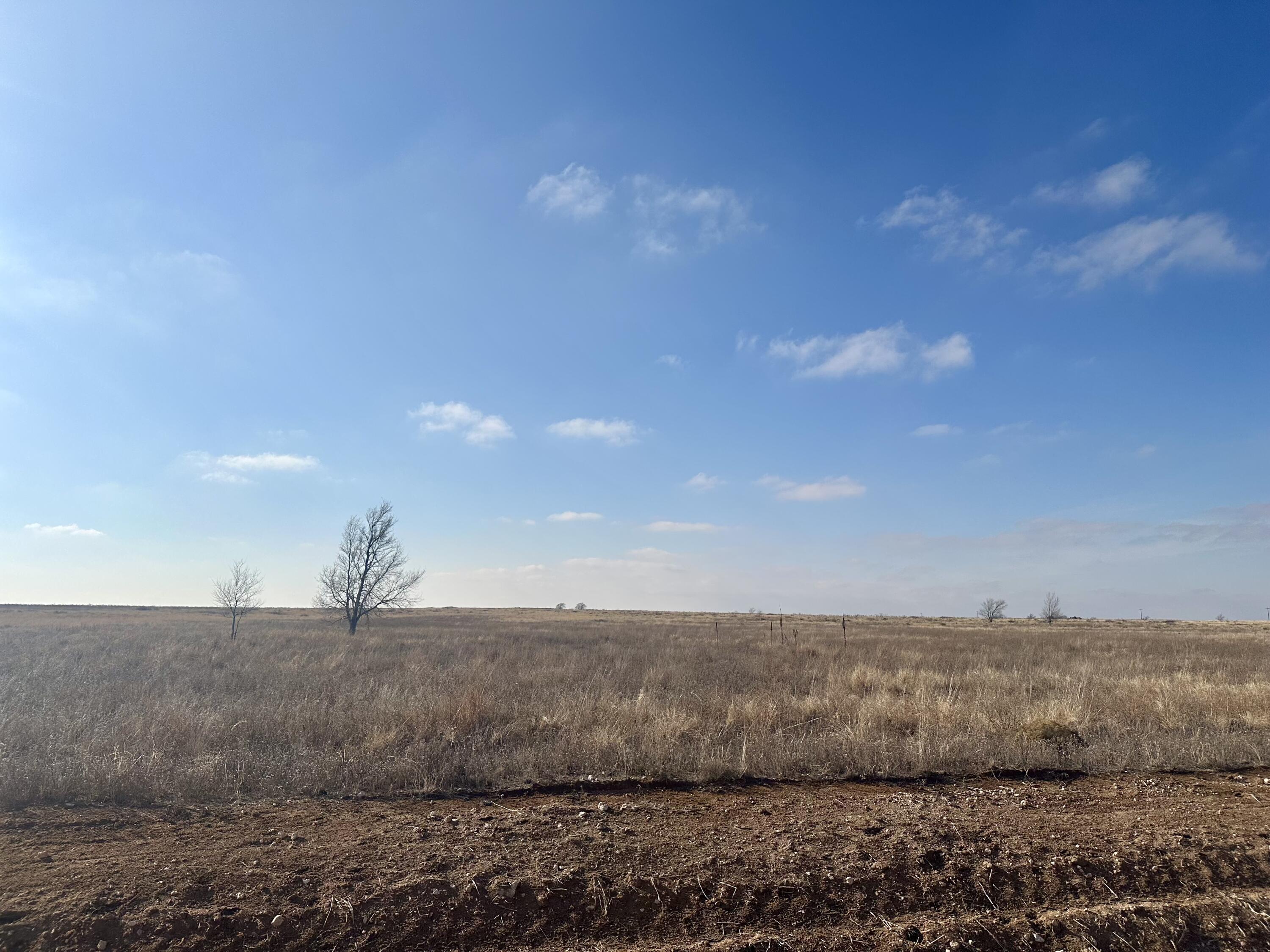 6792 Maine Road Anton, TX 79313 - Photo 10 of 13 IMG_7983