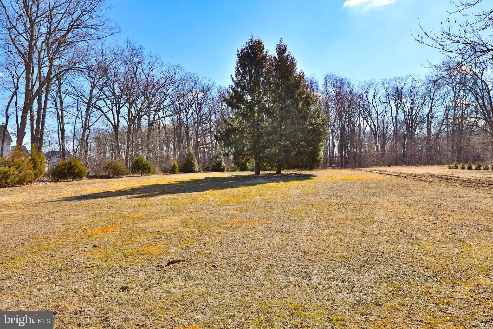 4790 Stump Road Pipersville, PA 18947 - Photo 48 of 49 Backyard
