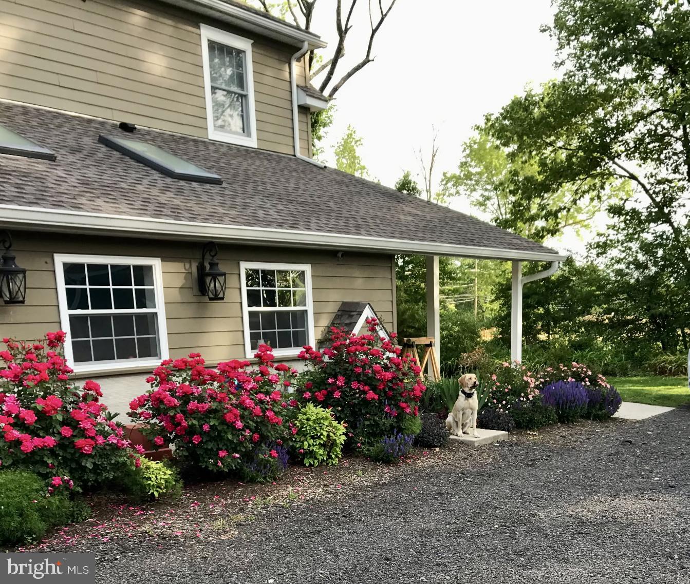 4790 Stump Road Pipersville, PA 18947 - Photo 7 of 49 Rear Exterior - Summer
