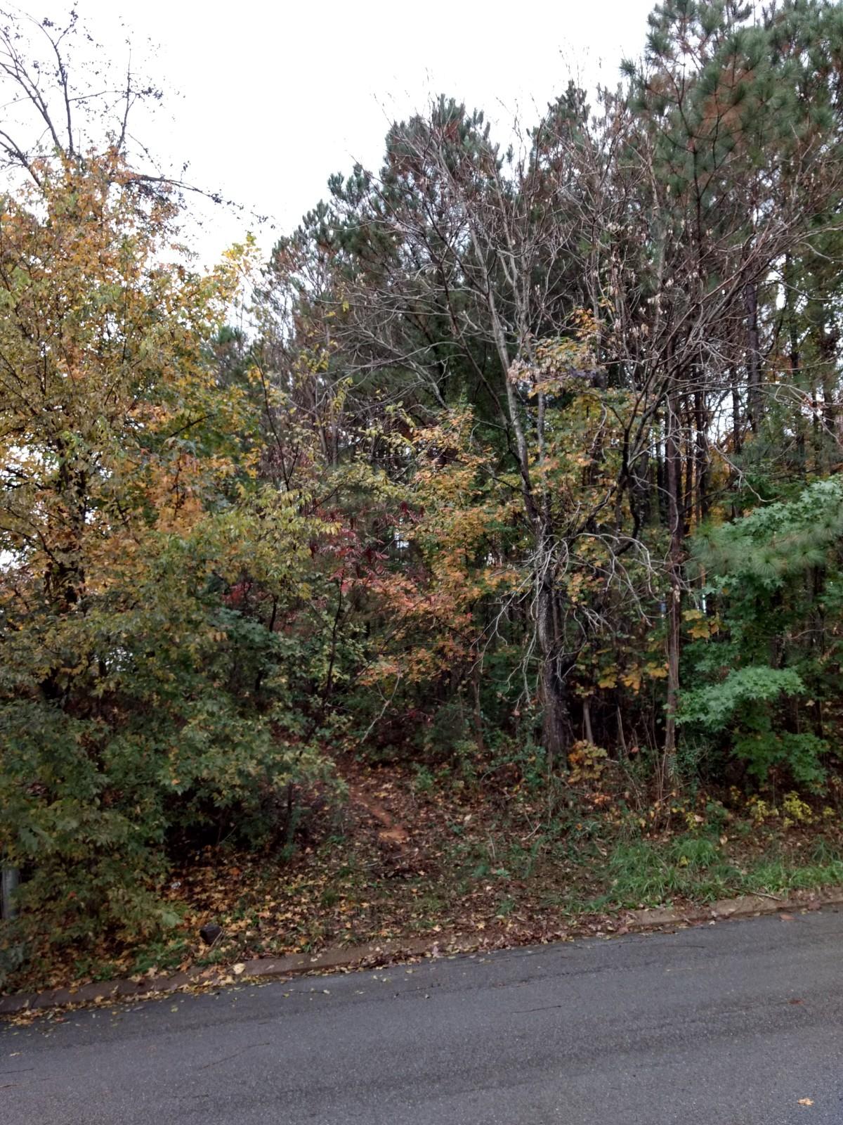 4060 Manor Road Chattanooga, TN 37411 - Photo 2 of 6 IMG_20171109_105849786_HDR
