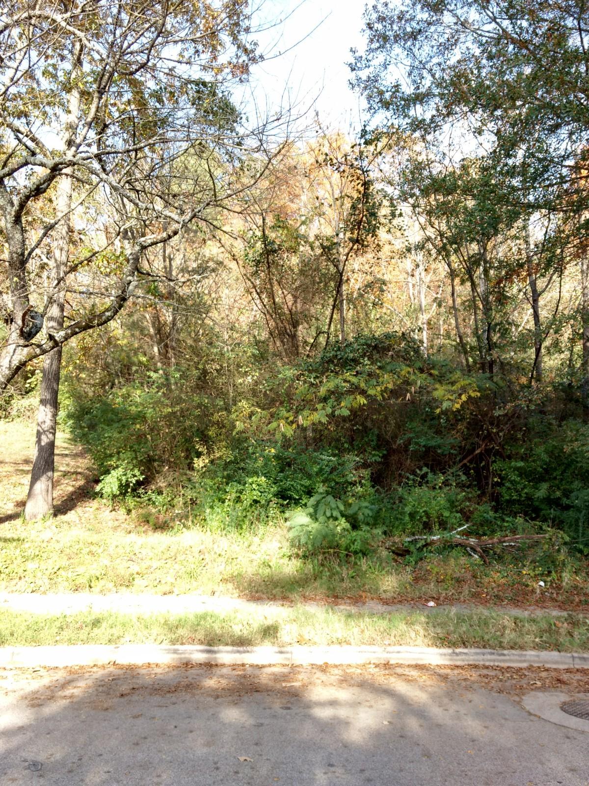 4060 Manor Road Chattanooga, TN 37411 - Photo 3 of 6 IMG_20171110_151046069_HDR