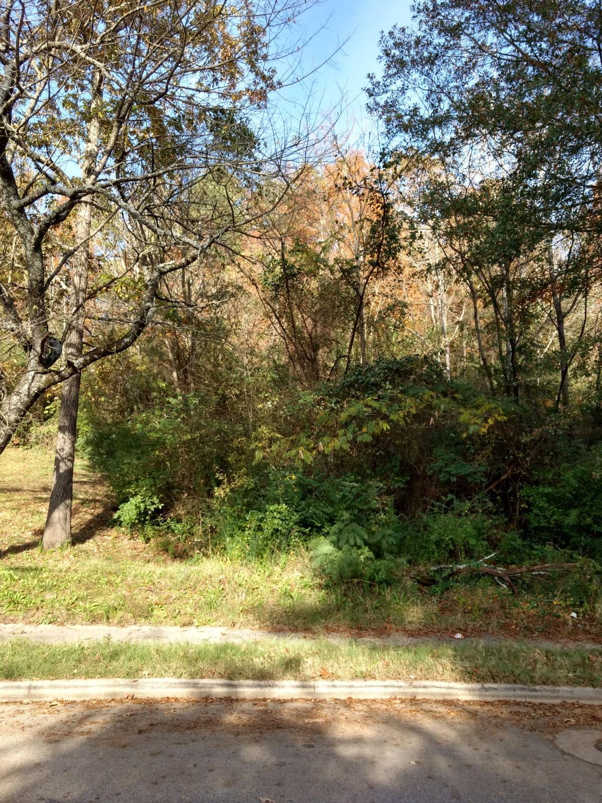 4060 Manor Road Chattanooga, TN 37411 - Photo 4 of 6 IMG_20171110_151051364_HDR