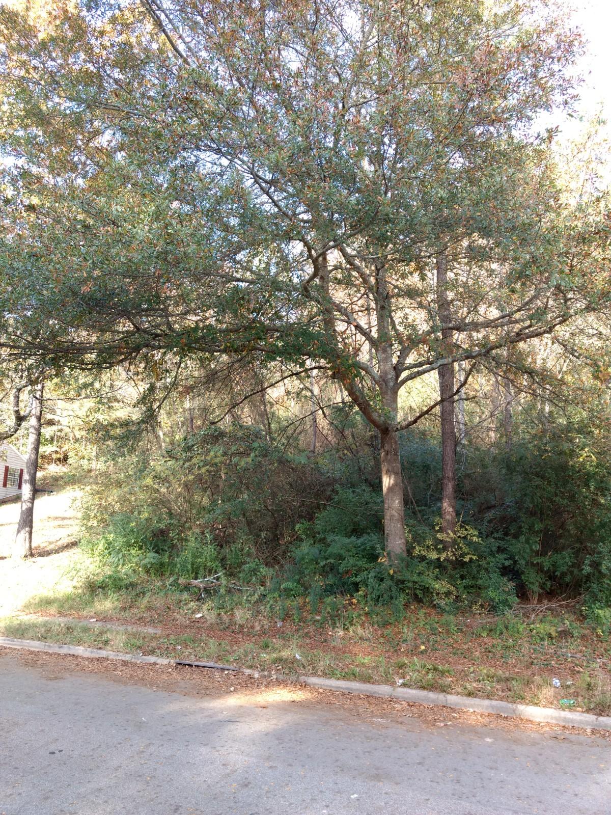 4060 Manor Road Chattanooga, TN 37411 - Photo 6 of 6 IMG_20171110_151140899