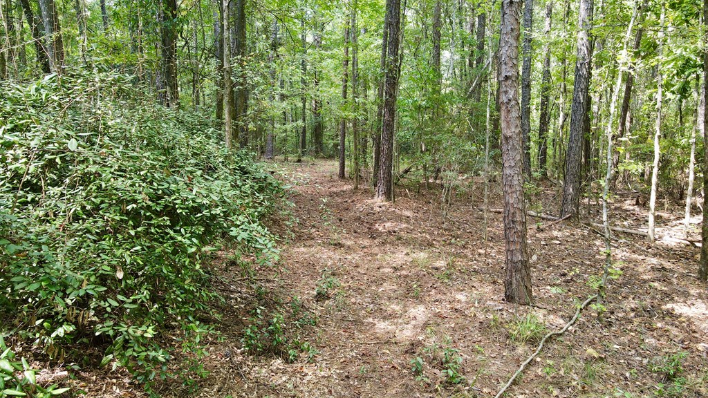 0 Graddick Road Hamilton, GA 31811 - Photo 8 of 20 Gallery Image 8