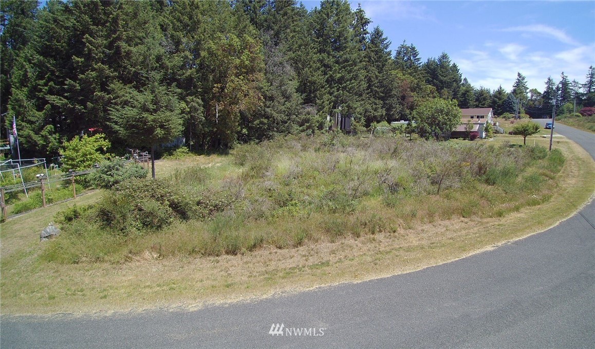 9107 Johnson Road, Unit AI Anderson Island, WA 98303 - Photo 1 of 5