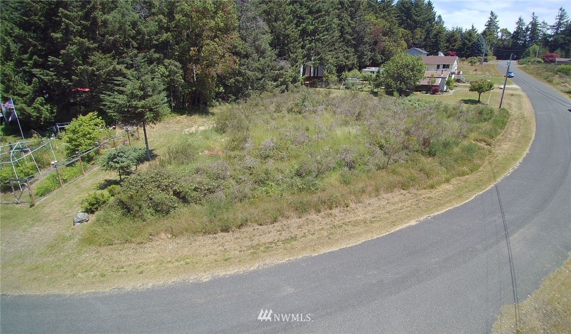 9107 Johnson Road, Unit AI Anderson Island, WA 98303 - Photo 2 of 5