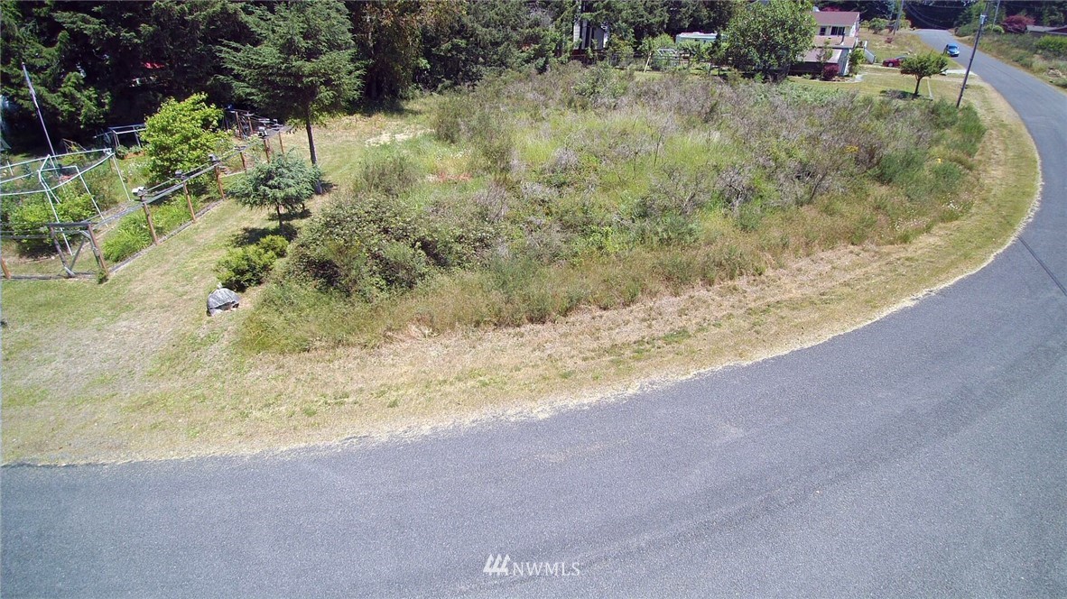 9107 Johnson Road, Unit AI Anderson Island, WA 98303 - Photo 3 of 5