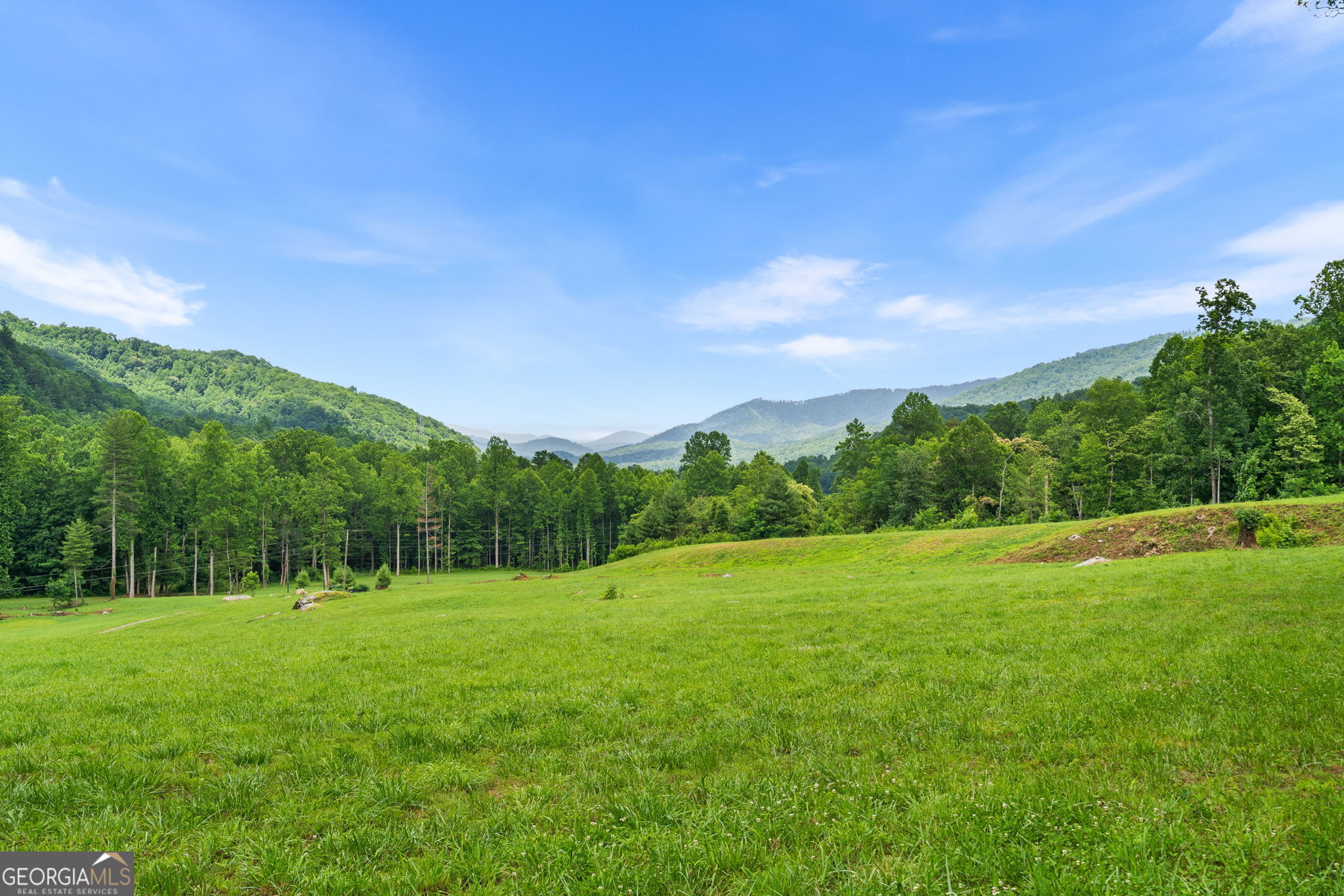 1449 Muskrat Creek Road Hayesville, NC 28904 - Photo 48 of 67