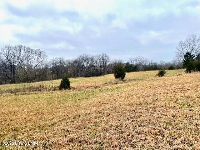 5 Timber Creek Road Bloomfield, KY 40008 - Photo 8 of 16 TC 5 Acres_6
