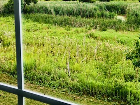 1141 Piccolo Lane Volo, IL 60073 - Photo 27 of 29 a view of a garden from a balcony