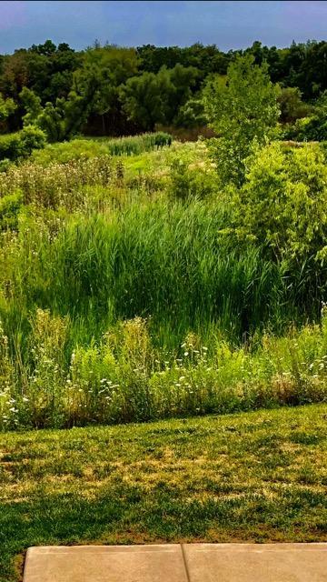 1141 Piccolo Lane Volo, IL 60073 - Photo 29 of 29 a view of a field with an ocean