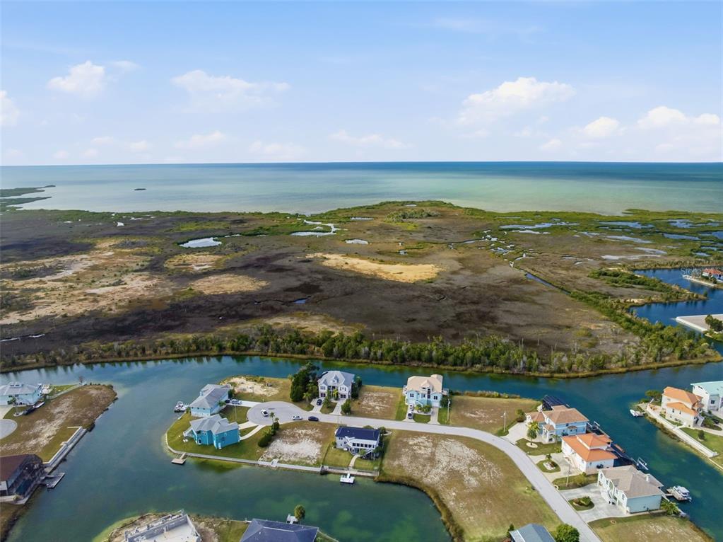 3366 Bluefish Drive Hernando Beach, FL 34607 - Photo 46 of 75