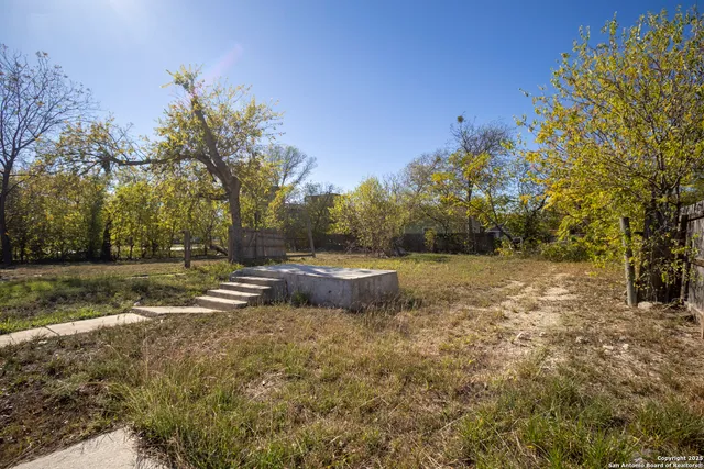 a view of yard with green space