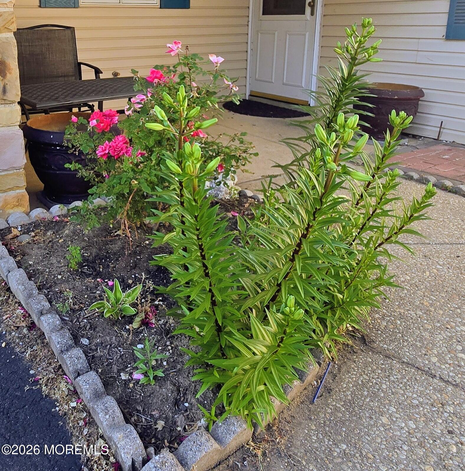 287 Church Street Aberdeen, NJ 07747 - Photo 2 of 14 287 CHURCH ST. FRONT FLOWERS 06012026