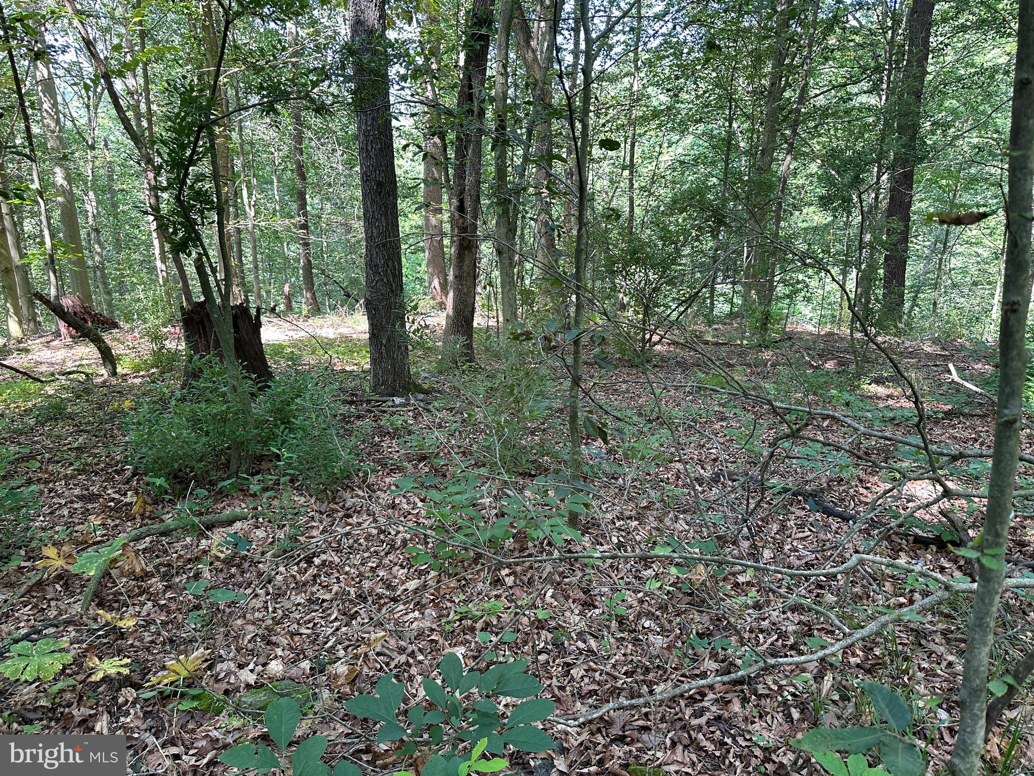 14110 Indian Springs Road Big Pool, MD 21711 - Photo 7 of 30