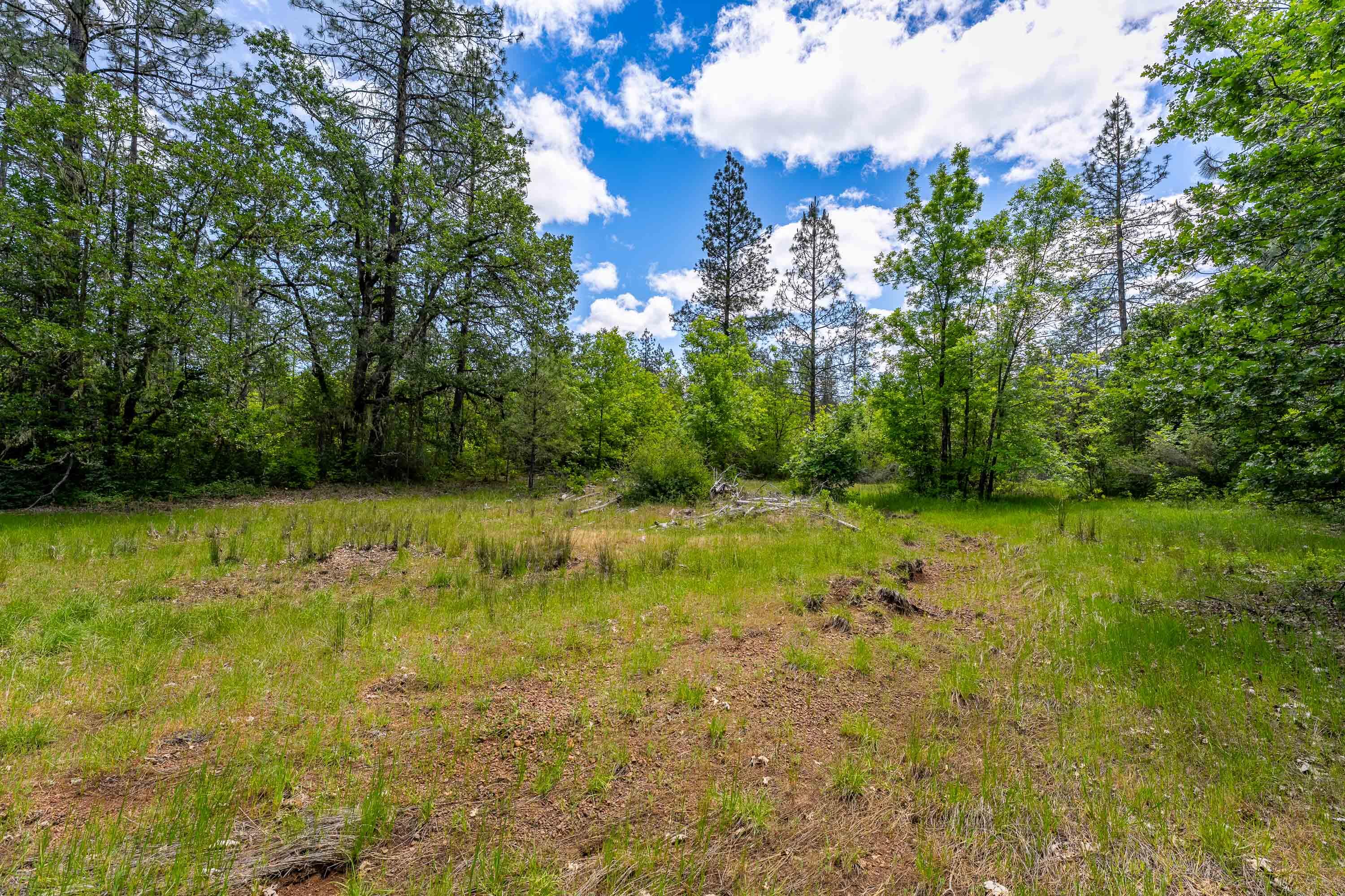 525 Sherier Road Cave Junction, OR 97523 - Photo 5 of 20 EXT (8 of 8)
